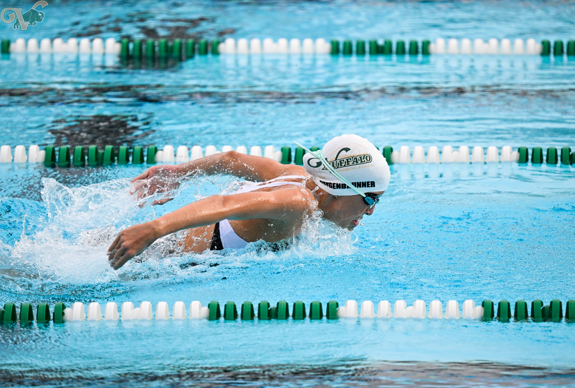 VHS Swim & Dive hosts Tavares for a home meet on September 11, 2025, at The Villages High School.