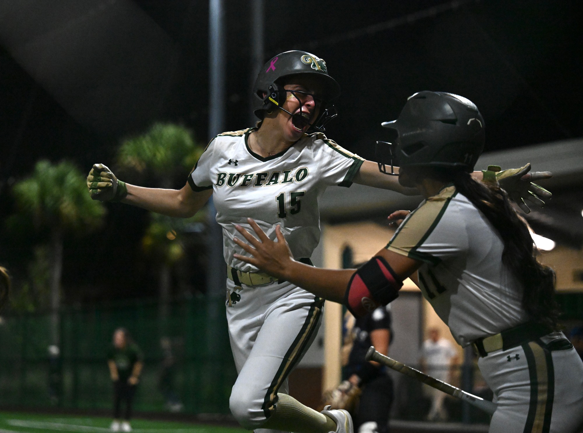 VHS Softball Senior Night