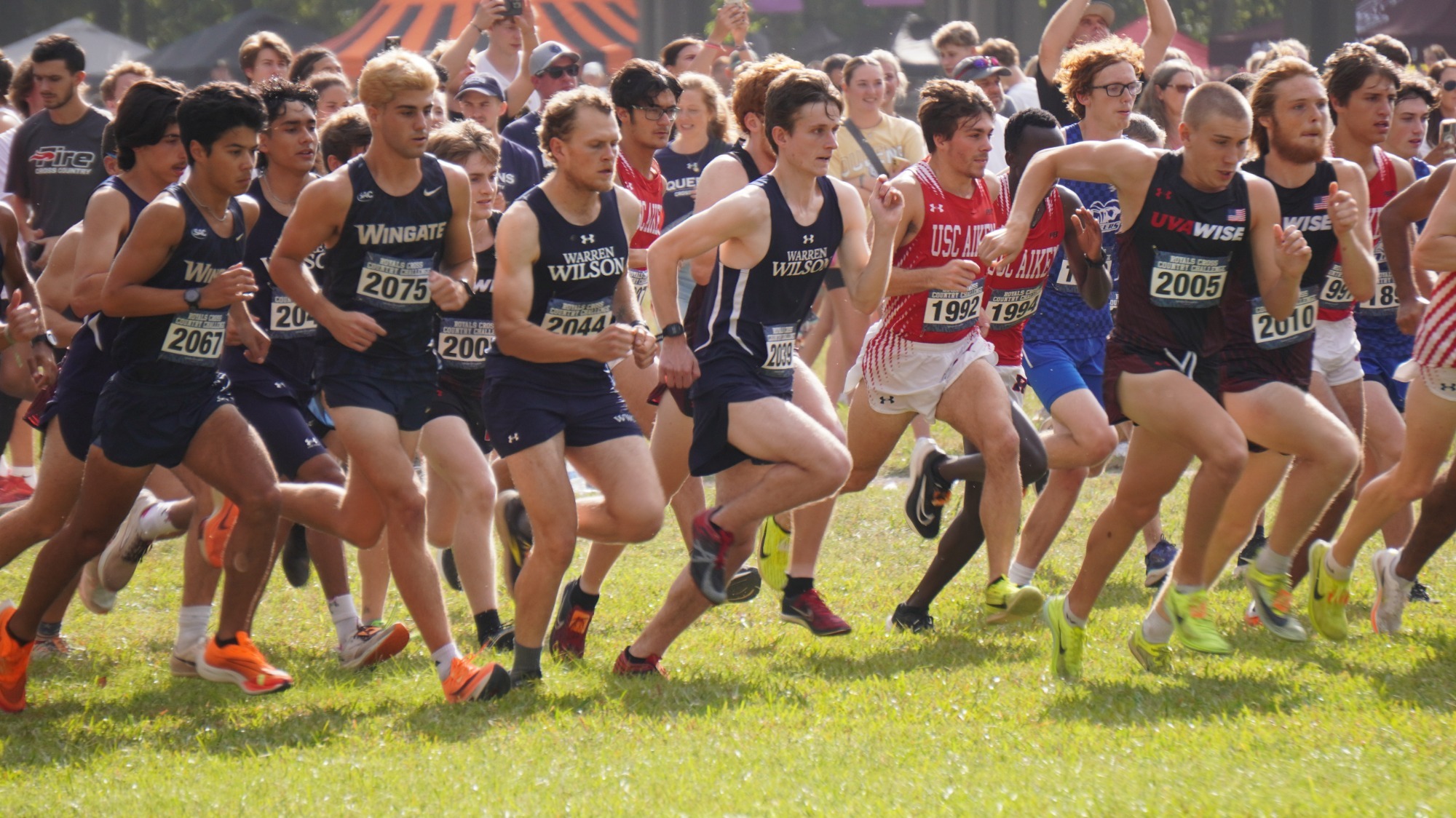 Several male runners for the men's Warren Wilson cross country team start the race