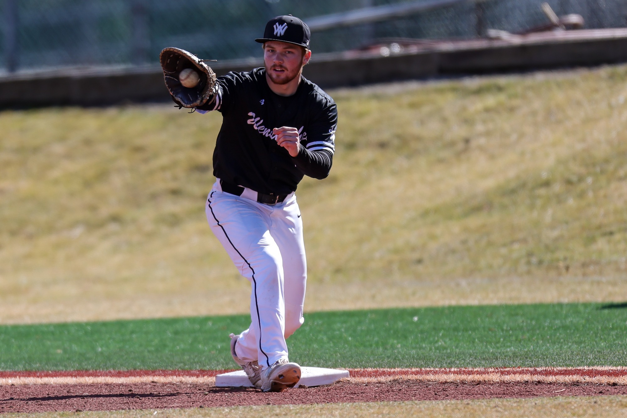 Baseball vs Shoreline