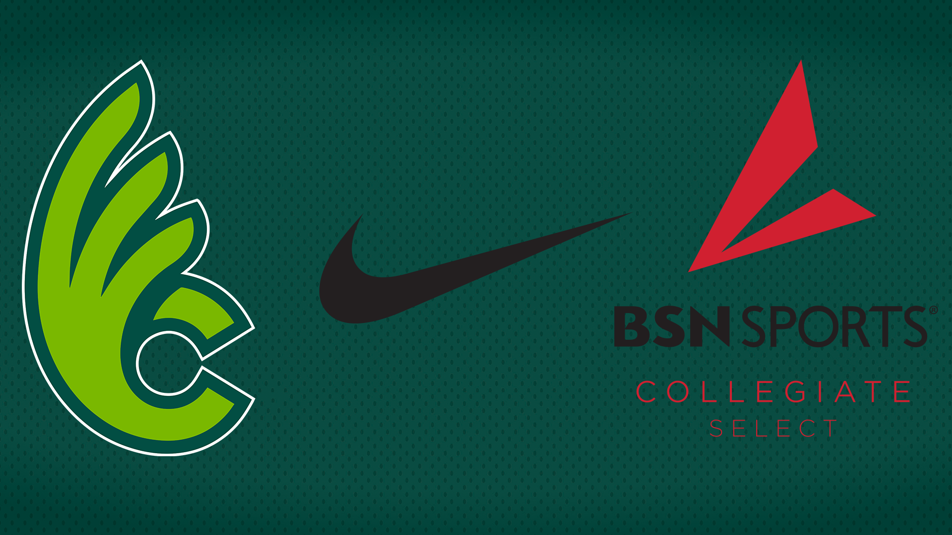 BSN News Release