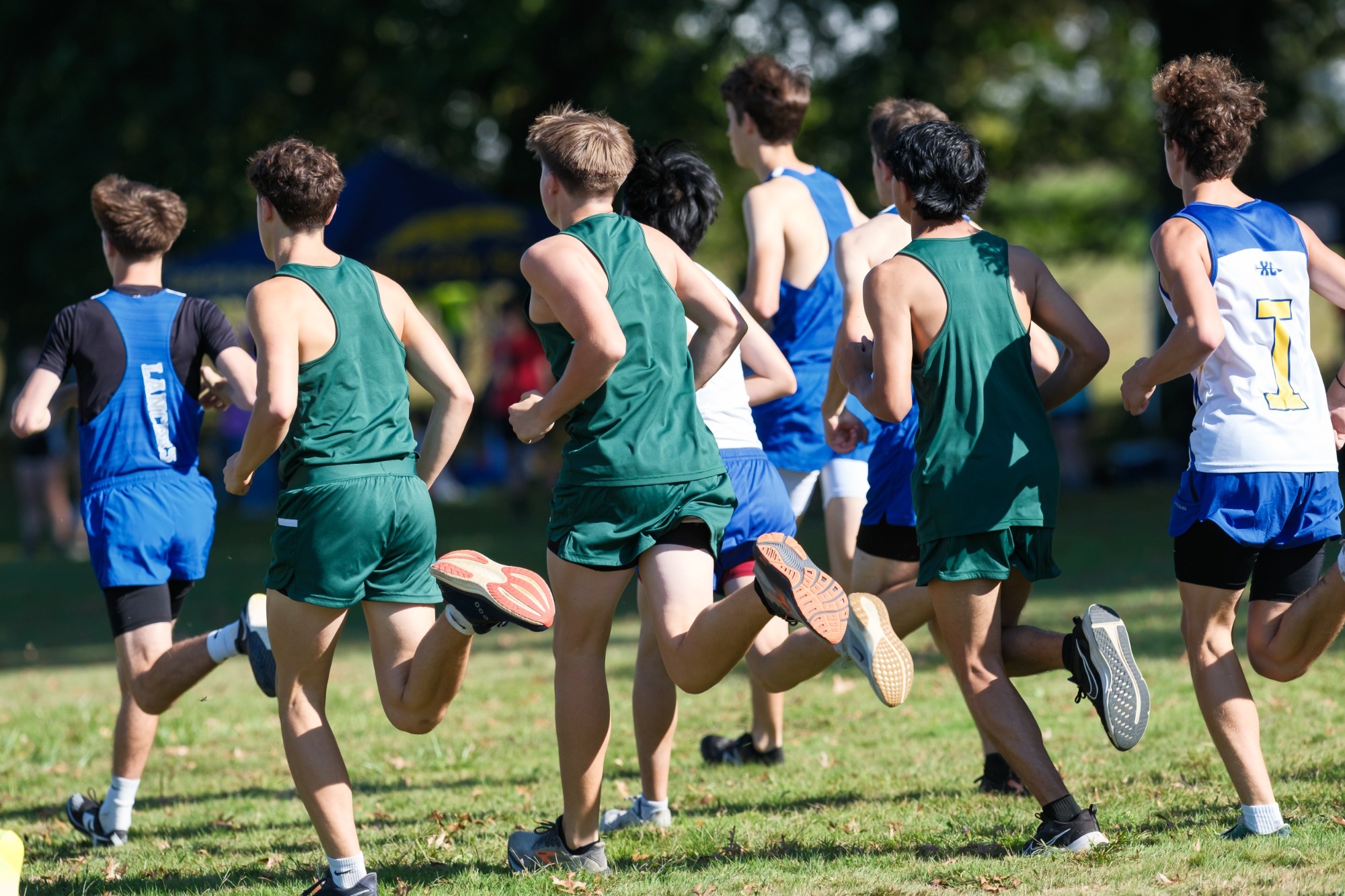 WRA Boys XC