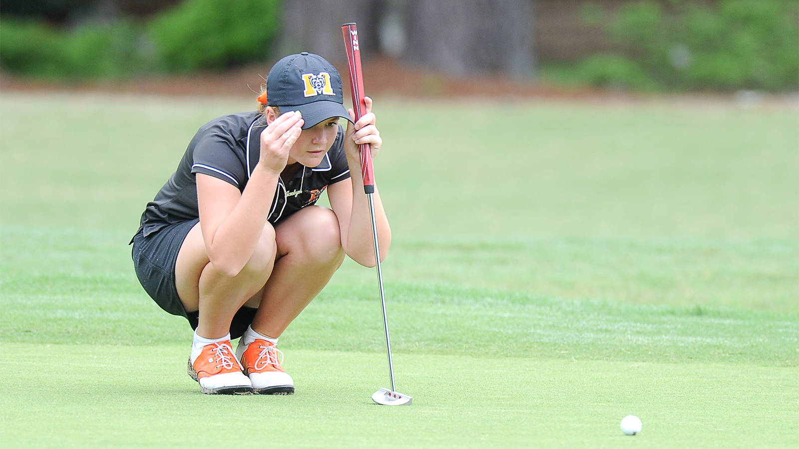 Bears remain fourth at Golfweek Program Challenge