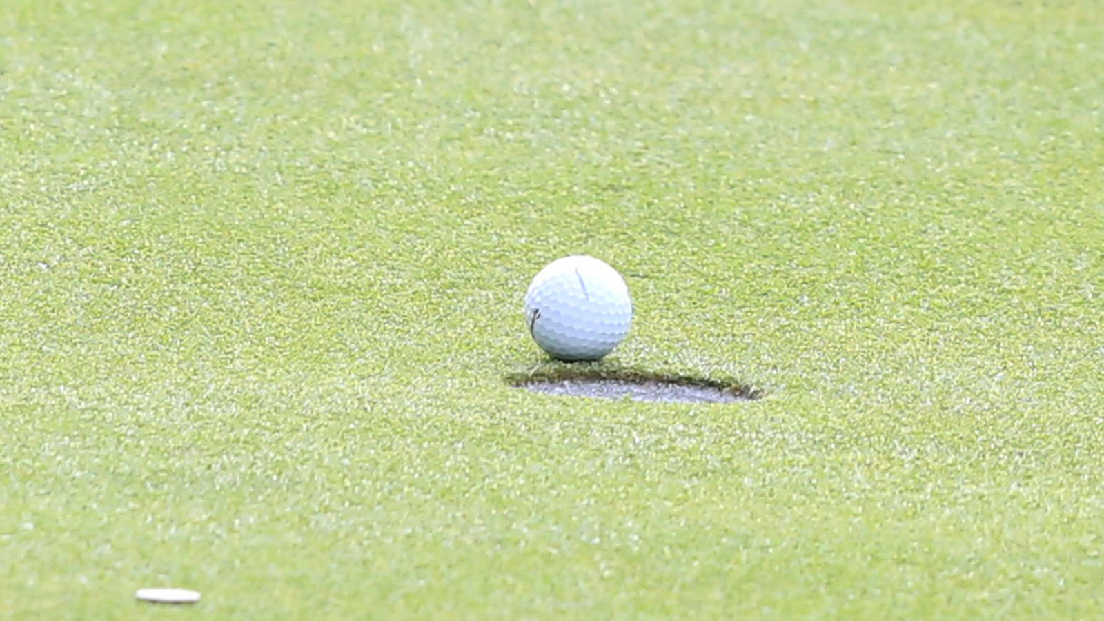 WGCA announces All-American Scholars