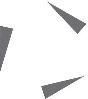Knight Commission CARE Champion, opens in new tab.