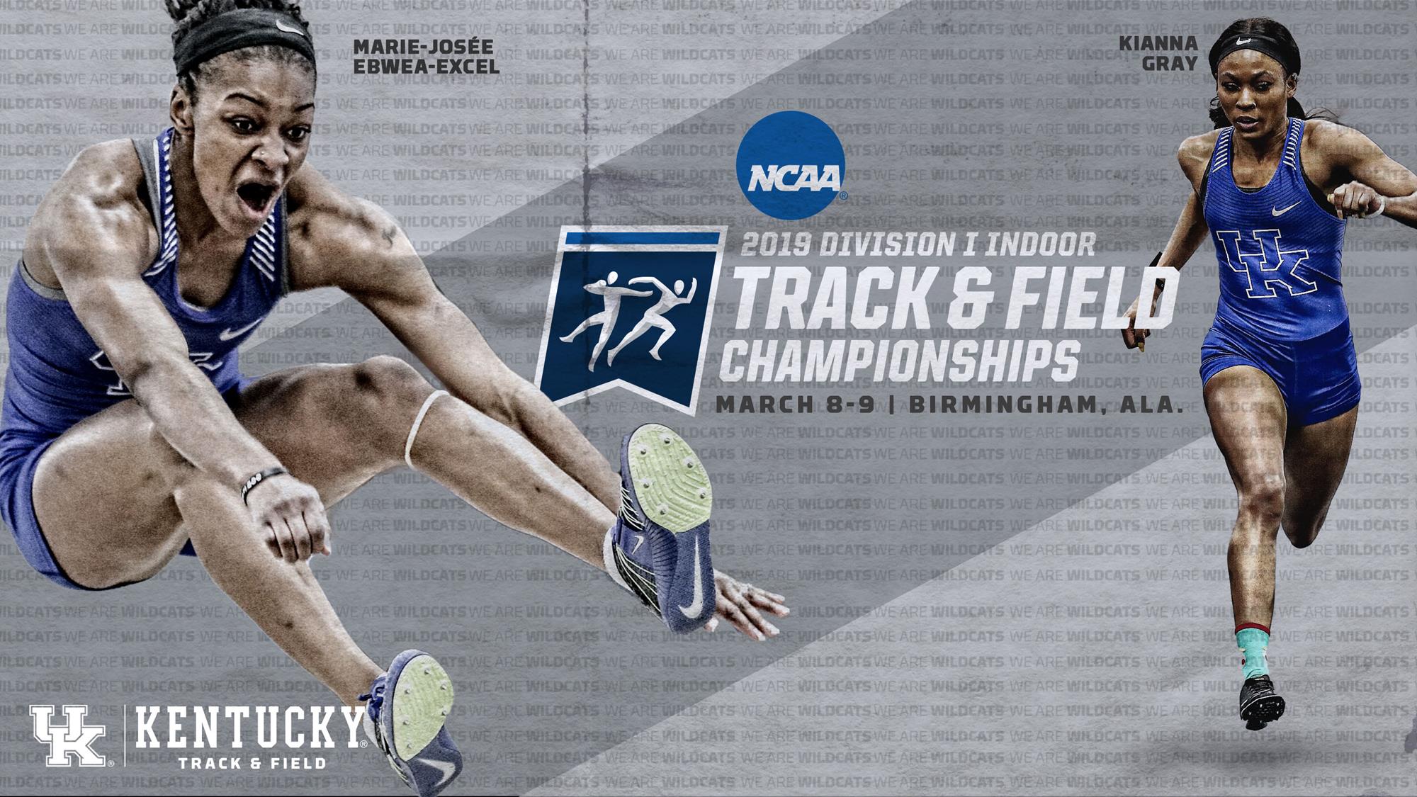 Kentucky Set for NCAA Indoor Championships - University of Kentucky