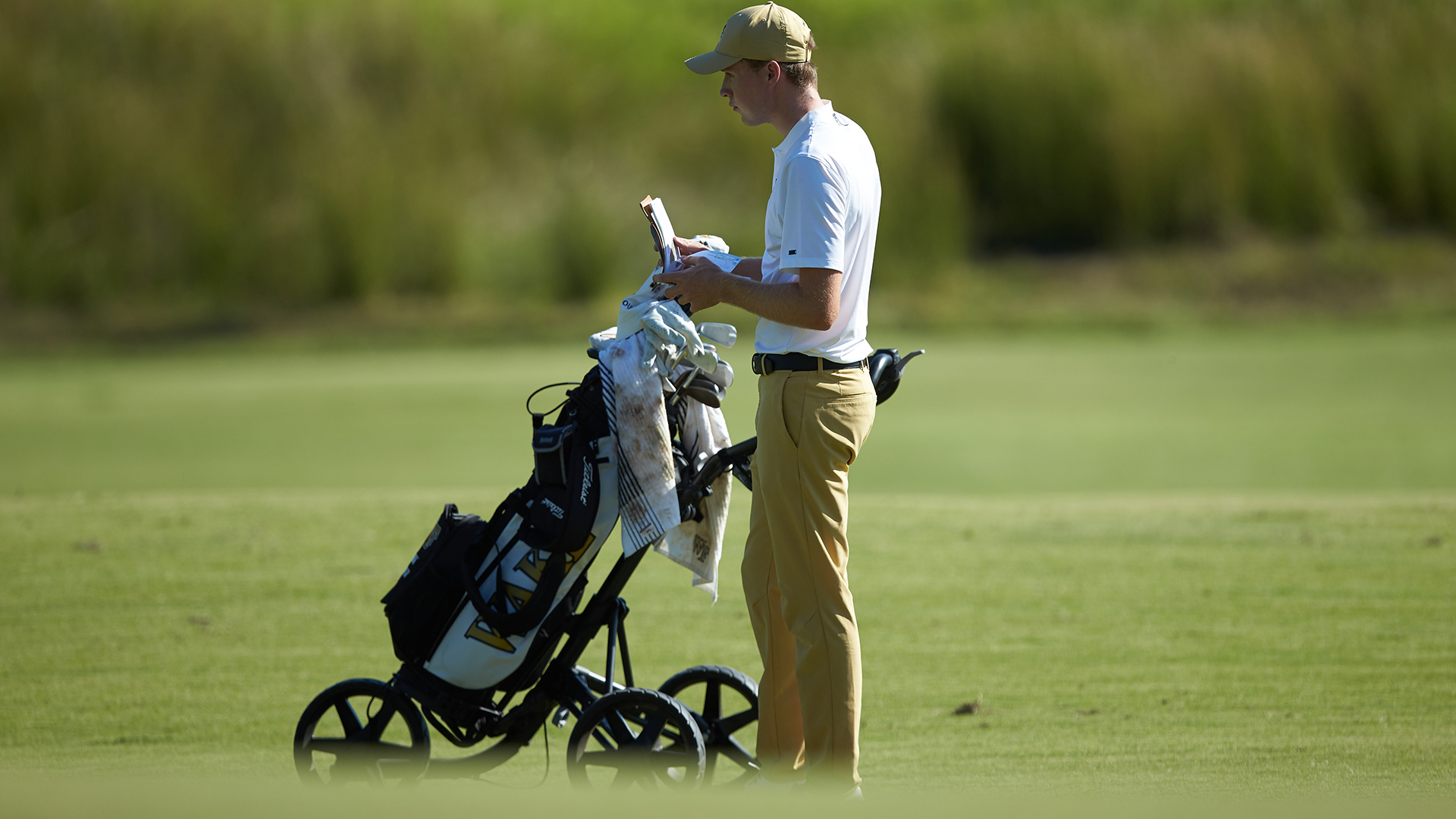 Mark Power Men S Golf Wake Forest University Athletics